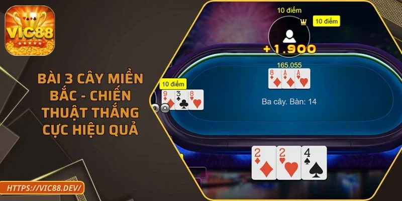 bai-3-cay-mien-bac