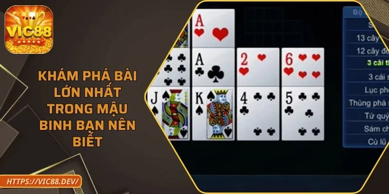 bai-lon-nhat-trong-mau-binh